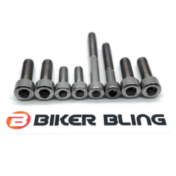 motorcycle control switch bolts