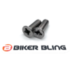 motorcycle front reservoir bolts