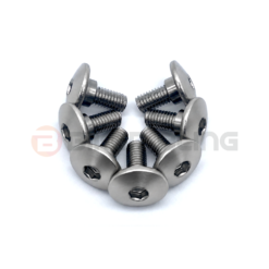 biker bling motorcycle fairing shoulder bolt