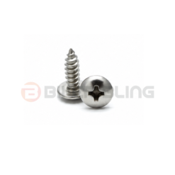 Biker bling motorcycle fairing self tapping screw