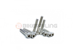 Triumph Legend TT 900 2000-2001 top & bottom yoke bolts stainless steel top & bottom yoke clamp pinch bolts T2045047