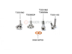 Triumph Bonneville America 2002-2008 Tank bolts, fuel tap bolts full stainless steel bolts kit
