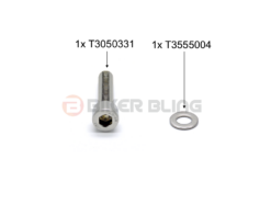 Triumph Daytona 675R 2011-2012 rear brake reservoir bolts stainless steel T3050331 T3555004