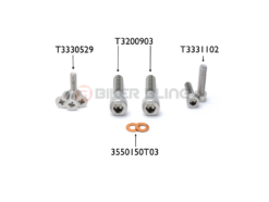 Triumph Bonneville & T100 2002-2008 fuel tank bolts full stainless steel bolts kit T3330529 T3200903 T3331102