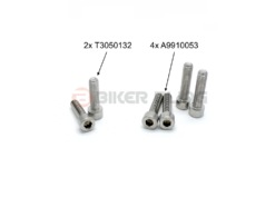 Triumph Daytona 650 2005 Top & bottom yoke bolts stainless steel bridge yoke bolts T3050132 A9910053