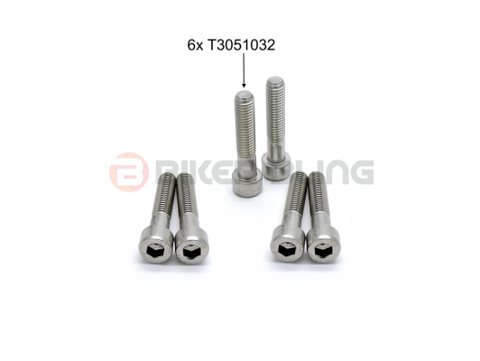 Triumph Daytona 1000 1991-1993 Top & bottom yoke bolts front wheel spindle pinch bolts stainless steel bridge yoke bolts T3051032