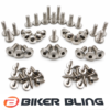 Biker bling stainless steel fairing bolt kit