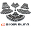 biker bling Stainless steel engine casing bolt kit