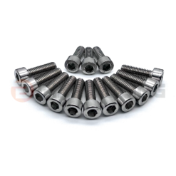 biker bling Stainless steel engine casing bolt kit