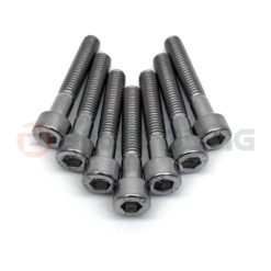 biker bling Stainless steel engine casing bolt kit