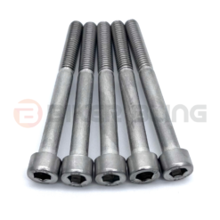 biker bling Stainless steel engine casing bolt kit